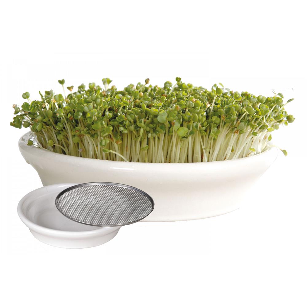 Kresseschale mit Edelstahlsieb; 16 cm