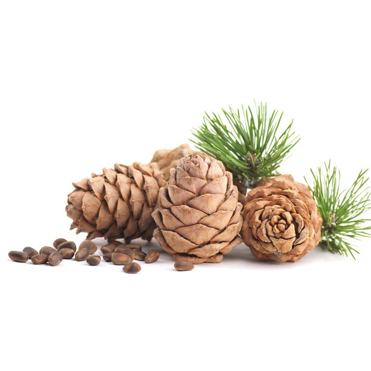 Zedernüsse Premium Bio