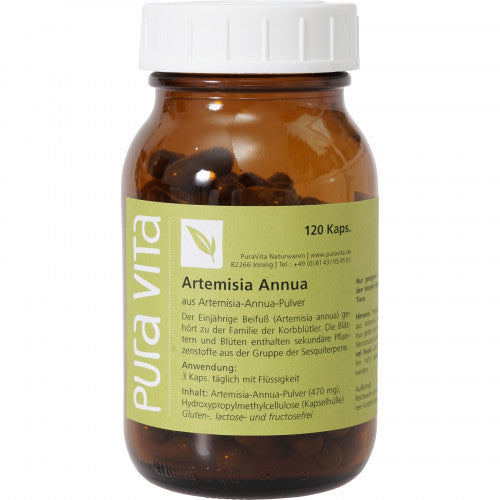 Artemisia Annua Pulver 120 Kapseln
