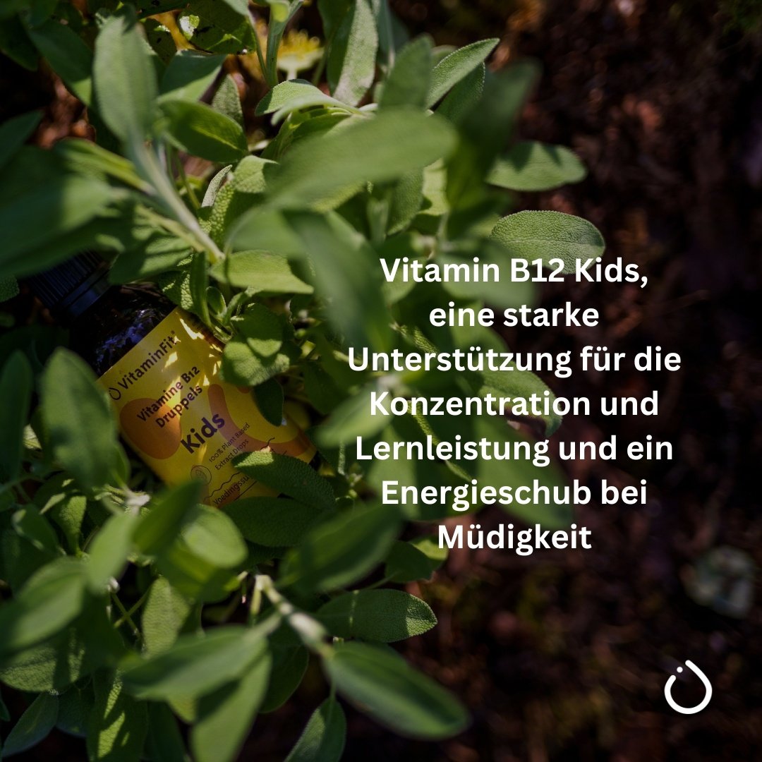 Vitamin B12 Tropfen Kinder 50 ml
