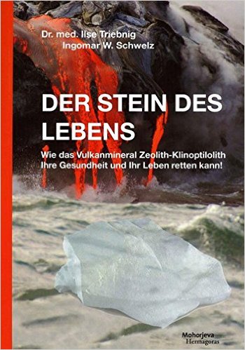 Buch Der Stein des Lebens