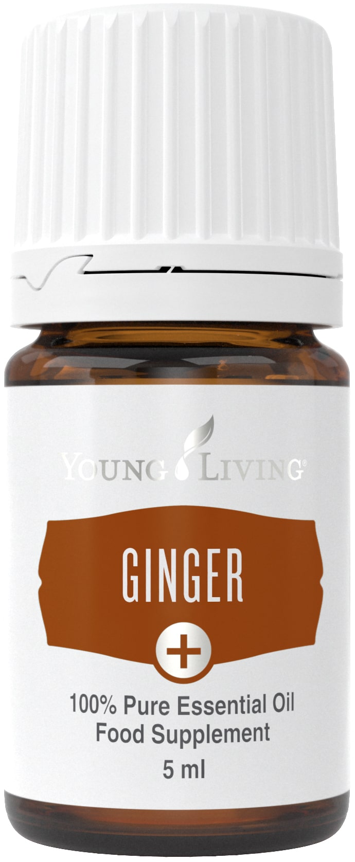 Ginger PLUS, 100% reines ätherisches Öl, Young Living